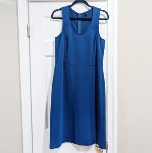 Ann Taylor Knit Sheath Dress (size 10)